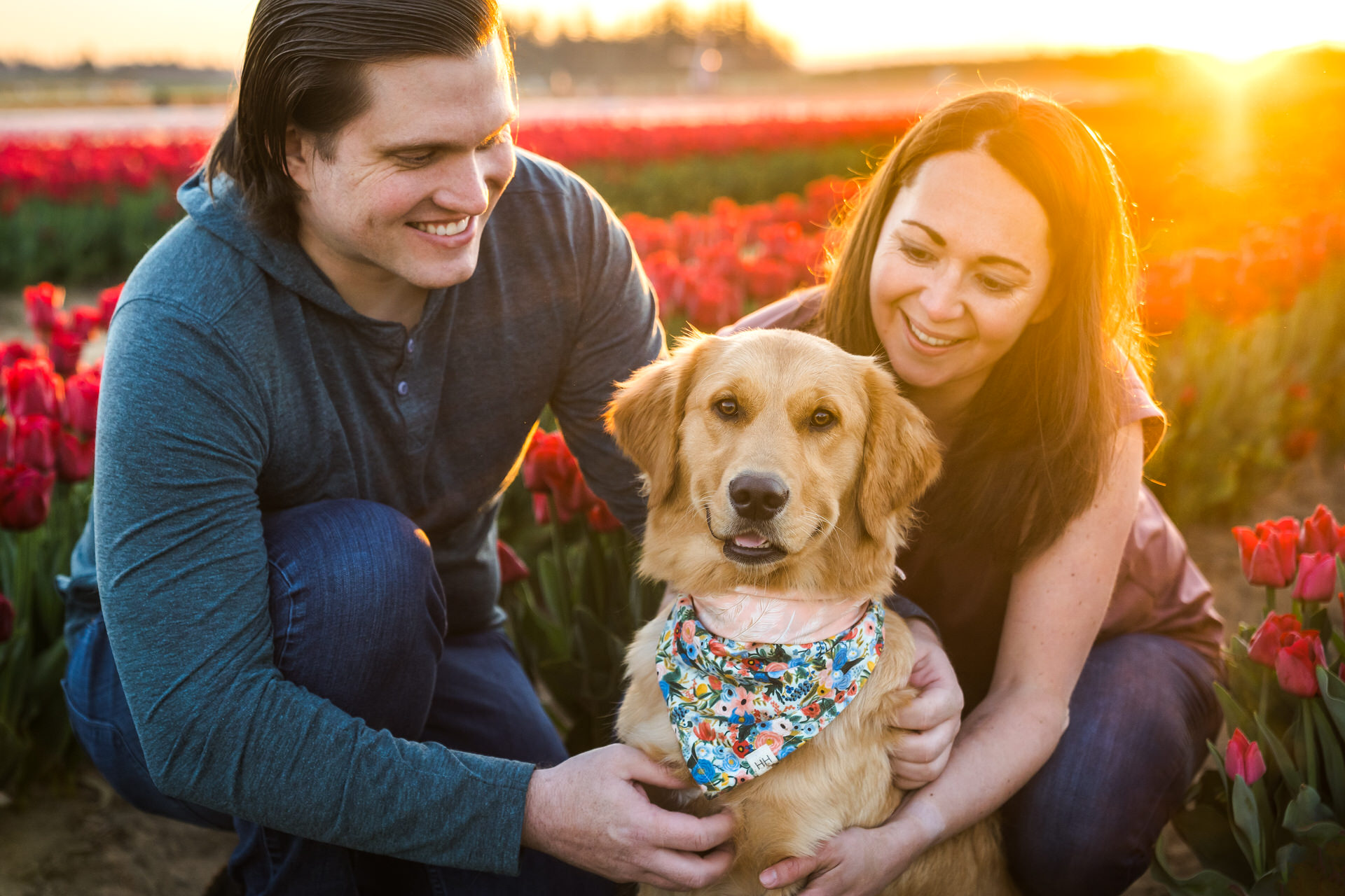 couple with dog in tulip field at sunrise