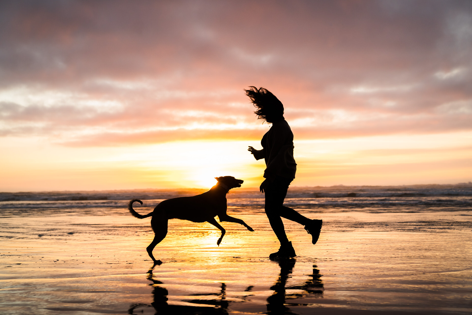 dog and woman play on the beach in Oregon