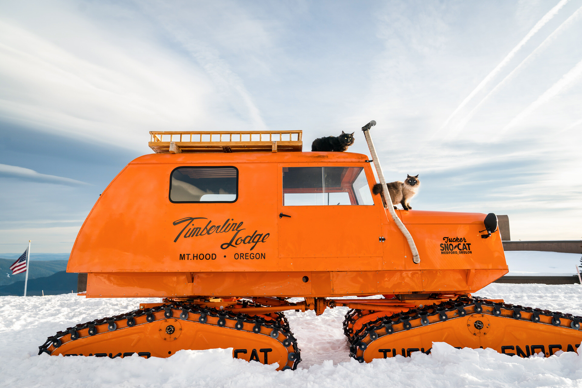 cats on the sno-cat at Timberline Lodge