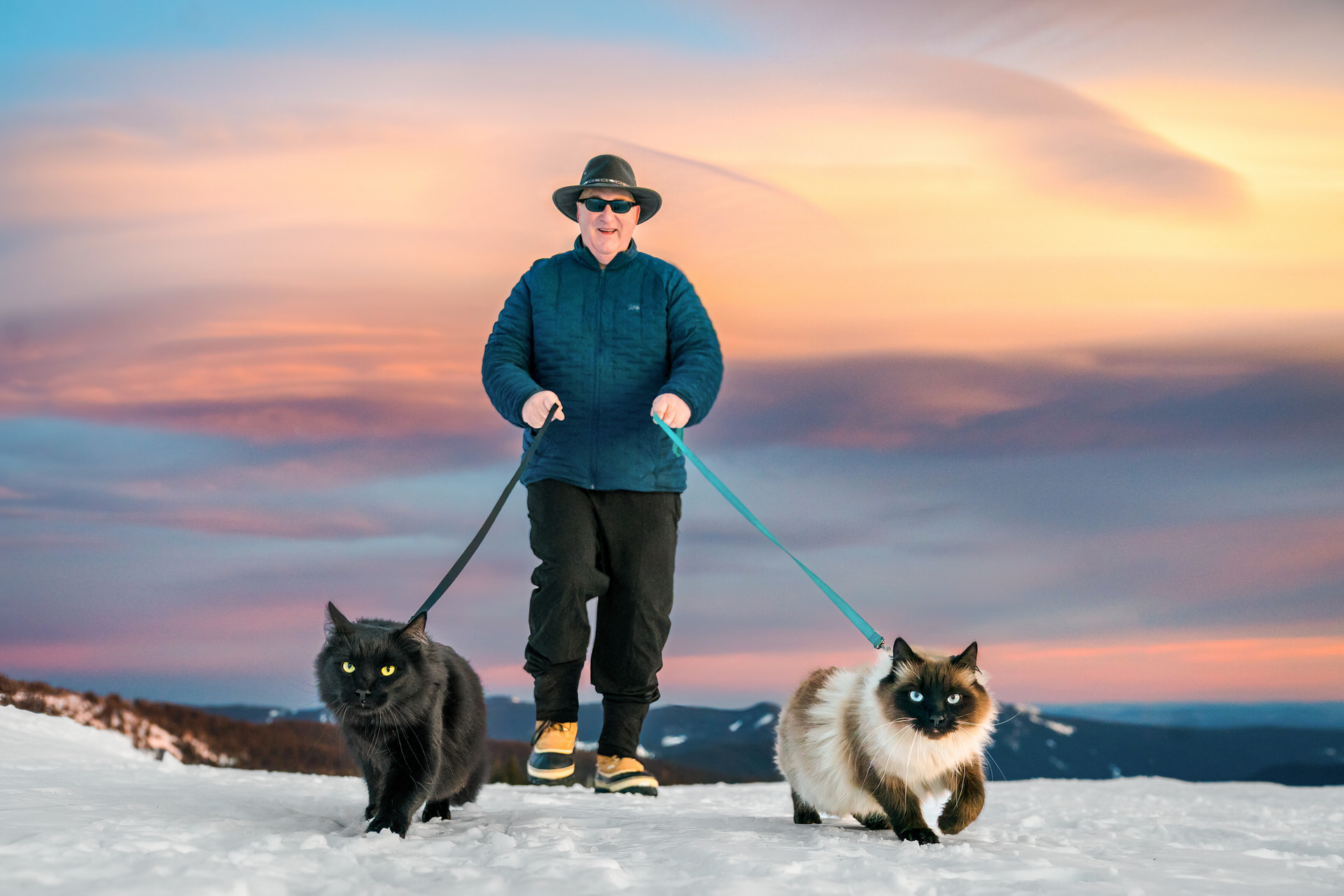man walking his cats at sunset on Mt. Hood in Oregon