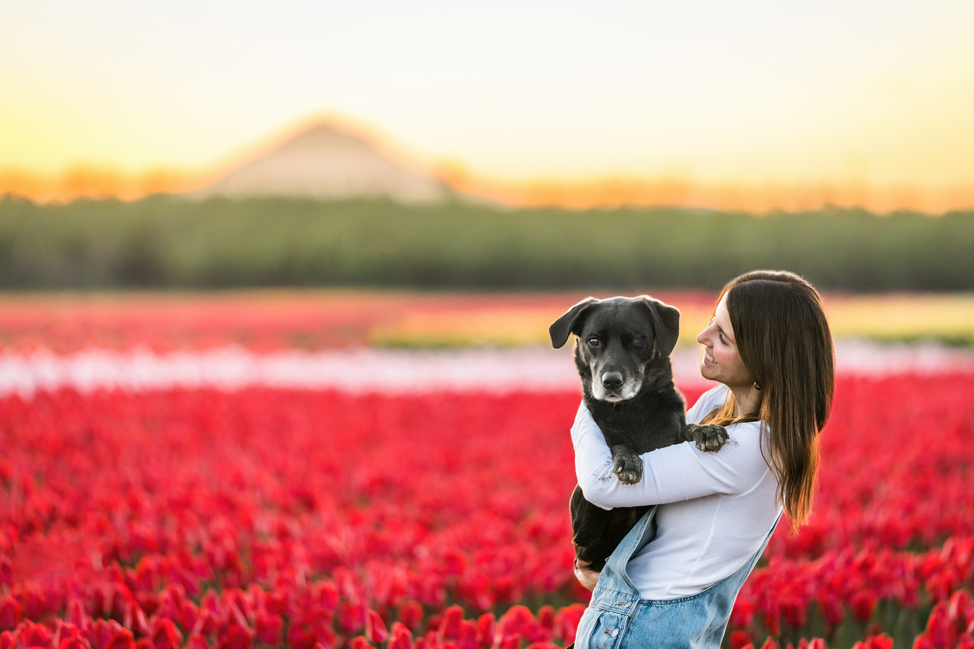 woman holding dog in a field of tulips in Oregon