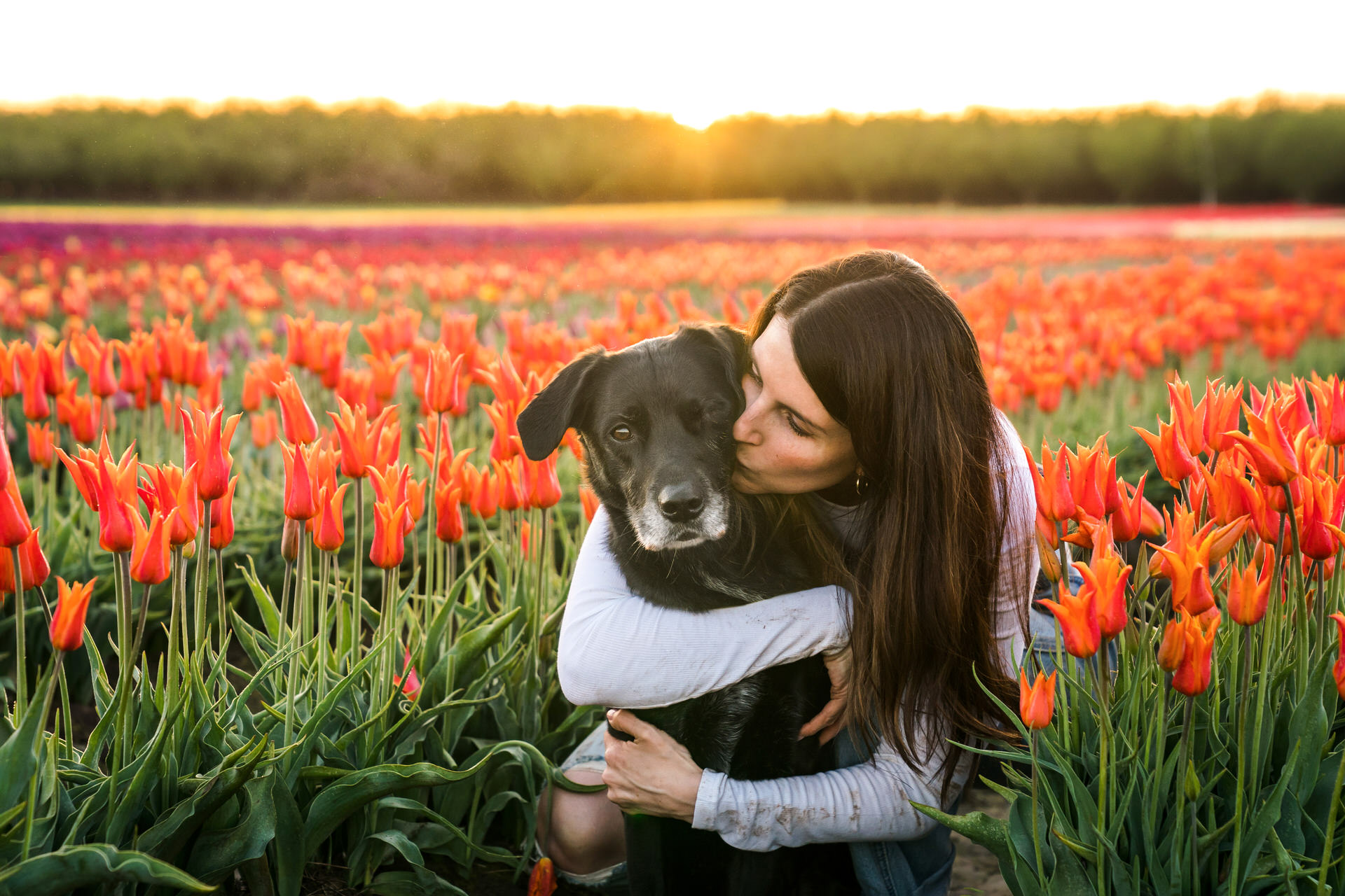 woman kisses dog at the wooden shoe tulip farm