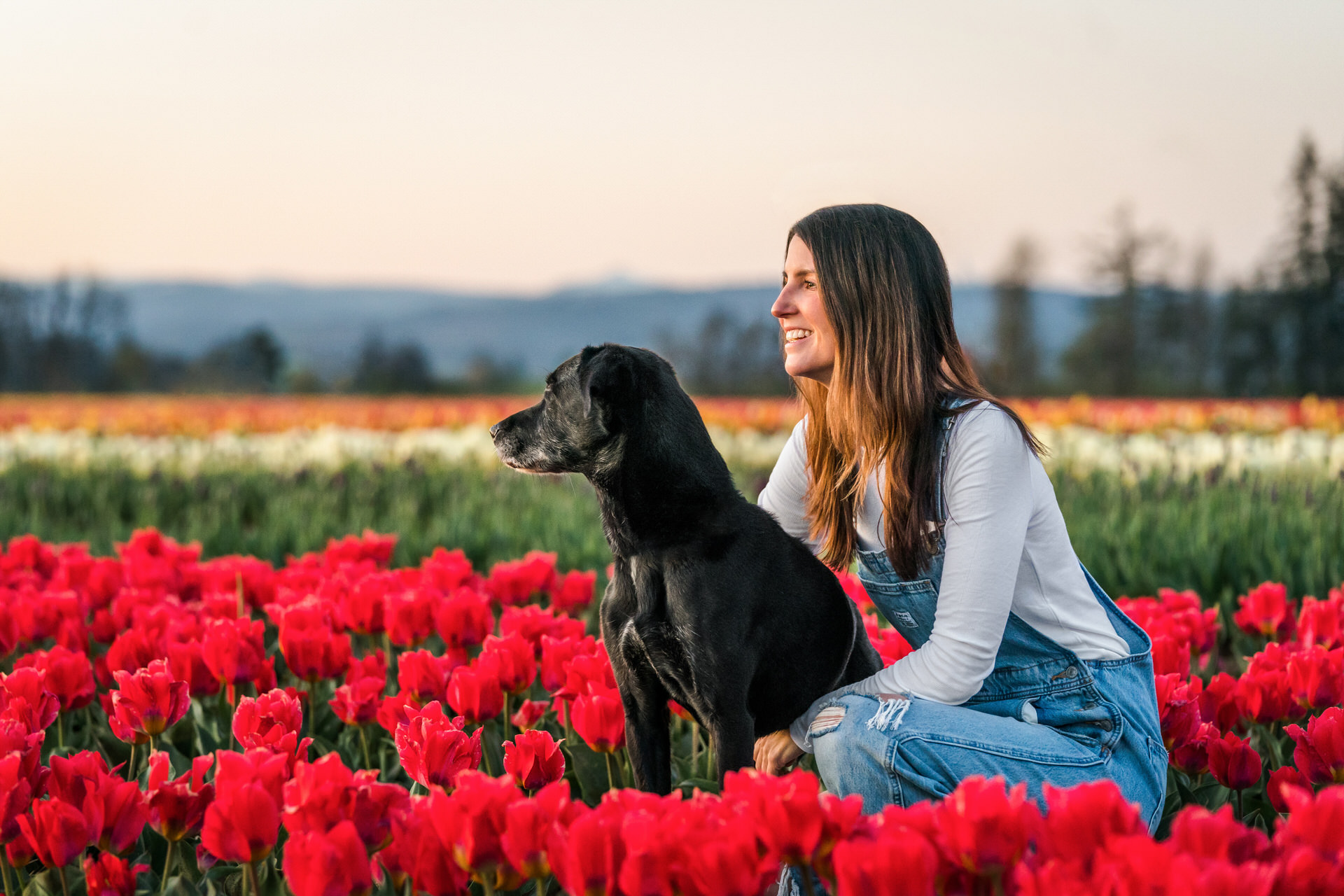 woman and dog looking into the sunset at the wooden shoe tulip farm