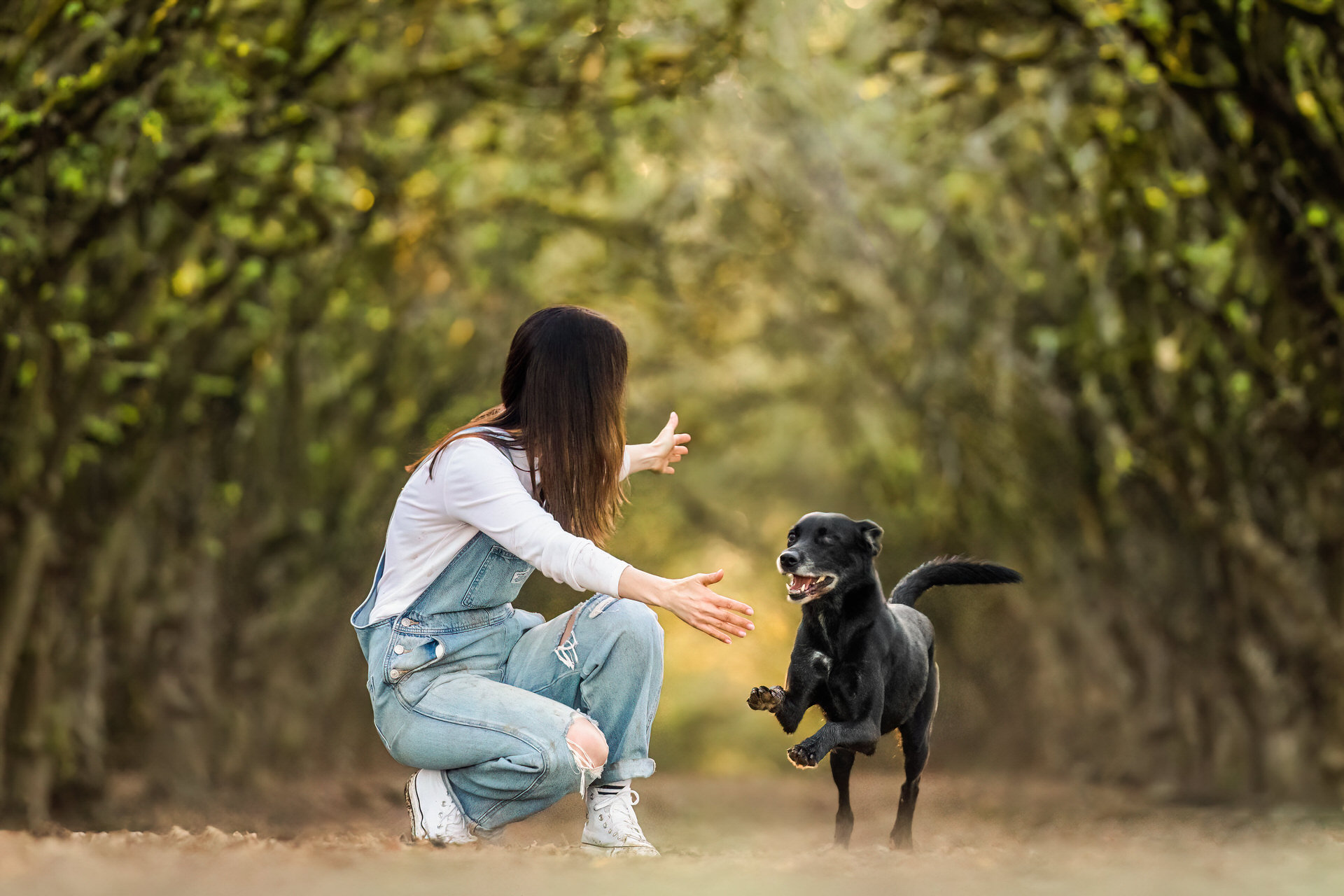 woman greets dog with open arms