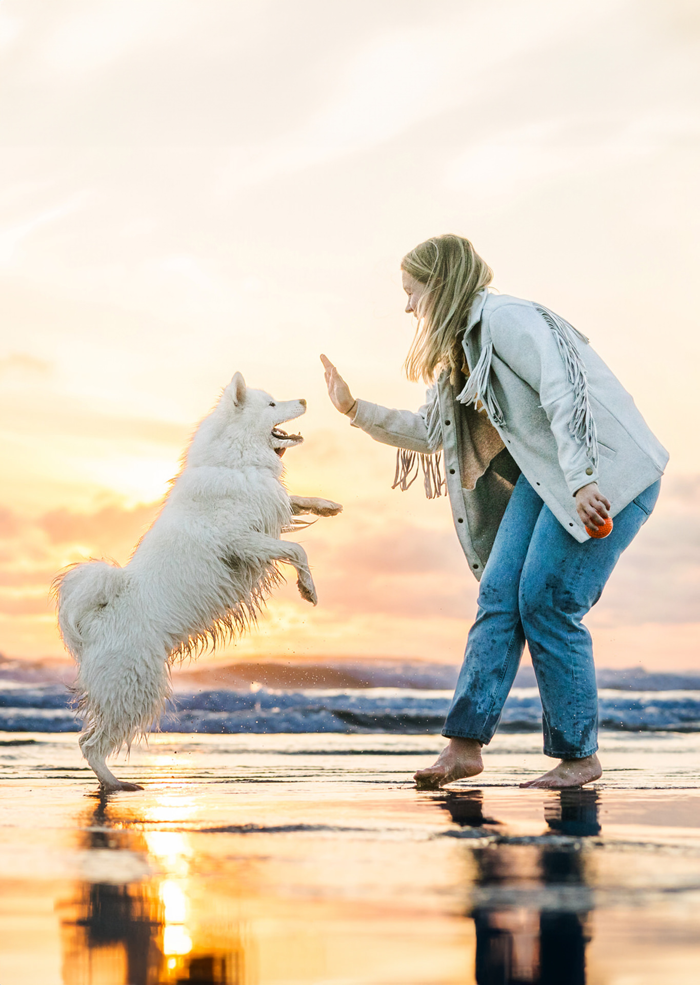 Lindsay Baca, dog photographer in Portland, Oregon