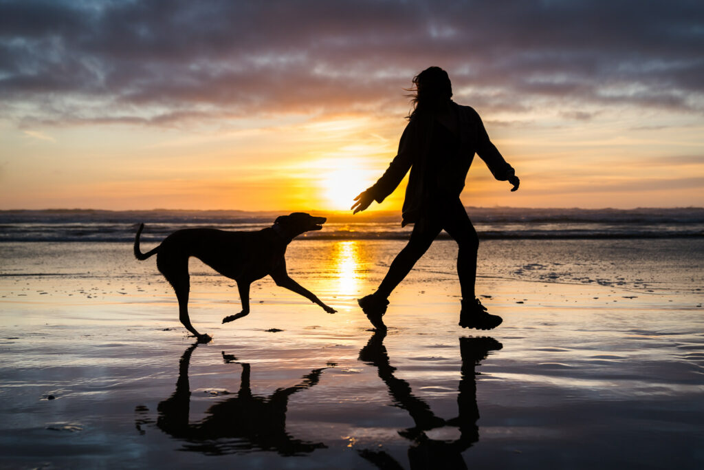 Silhouette of a woman and dog playing together at the beach at sunset