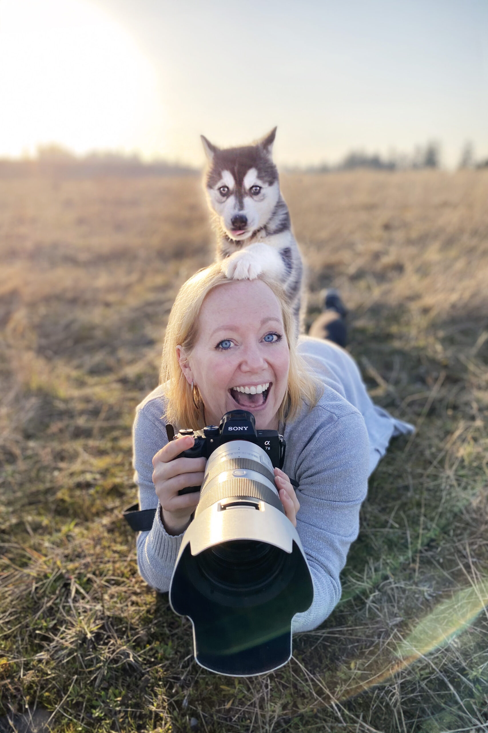 Lindsay Baca, dog photographer 