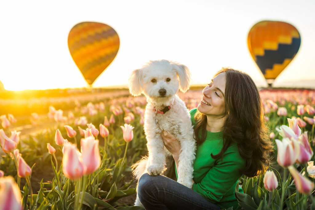 White dog and woman sitting in tulip field with hot air balloons in the sky at the Wooden Shoe Tulip Farm
