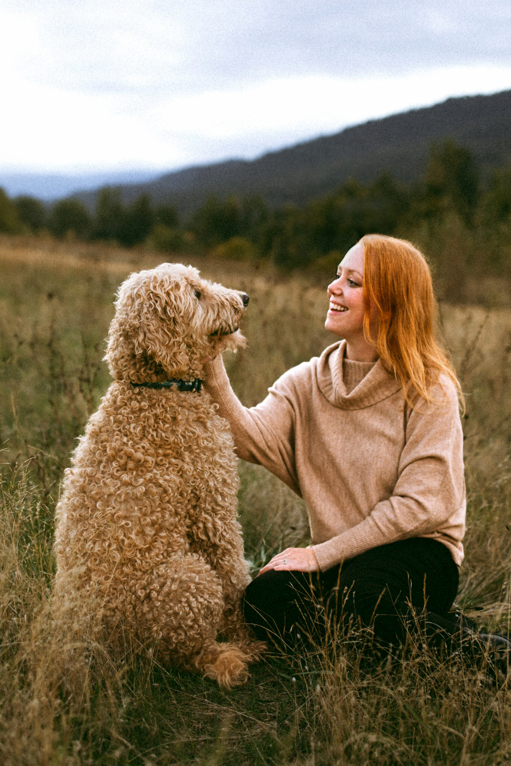 Lindsay Baca, dog photographer in Portland, Oregon