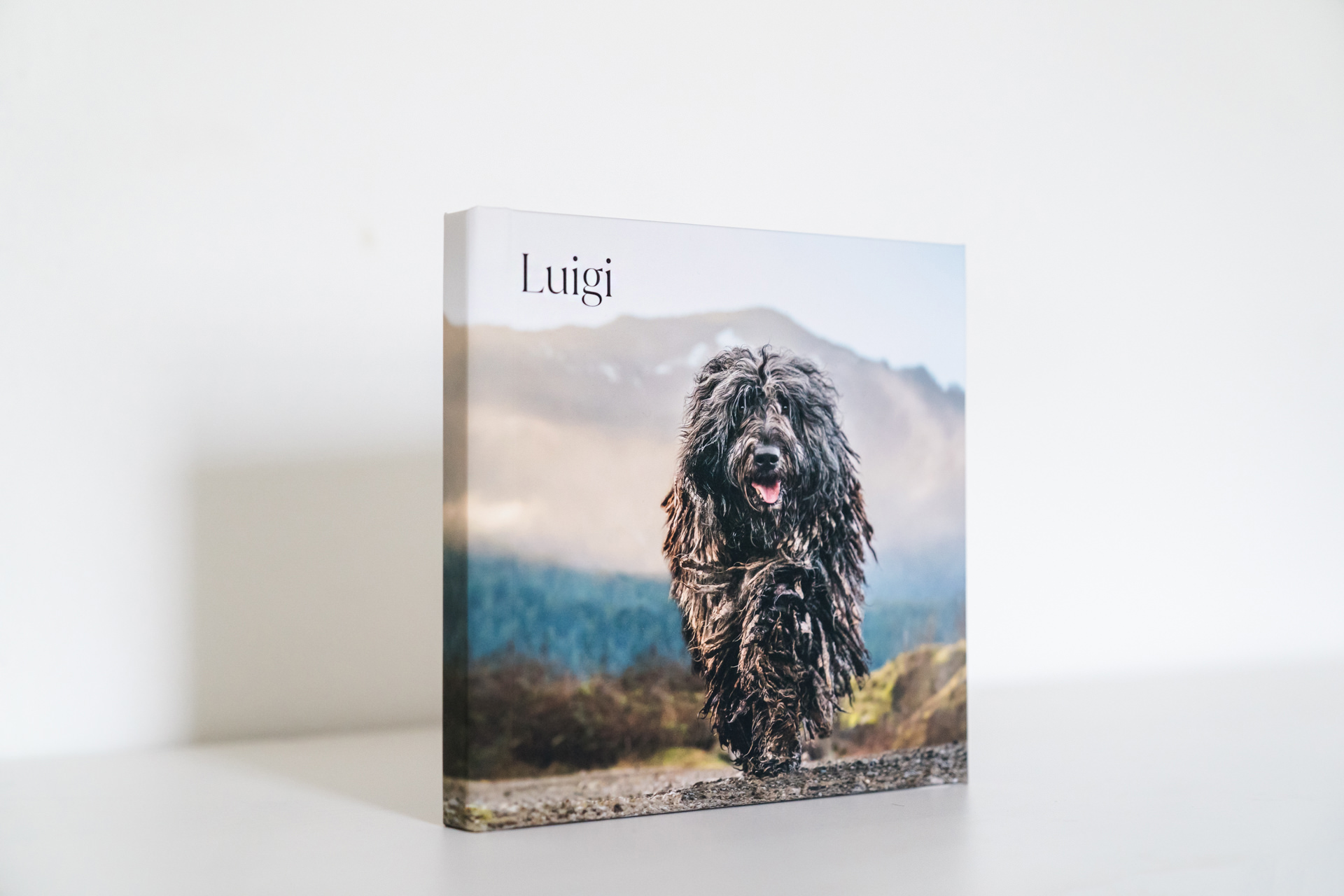 Photobook cover with a happy shaggy dog named Luigi.