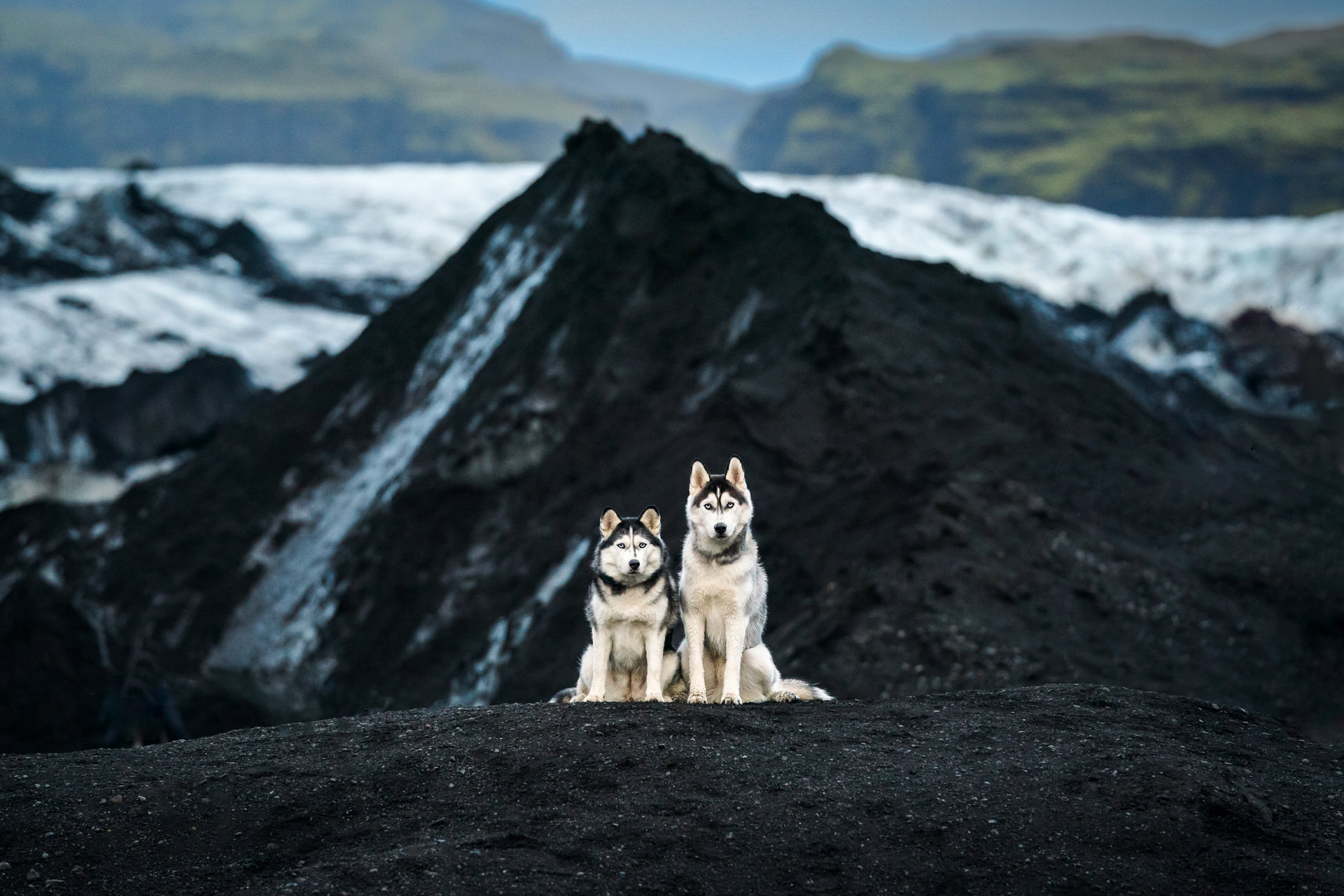 Two huskies sitting on volcanic landscape at Sólheimajökull Glacier