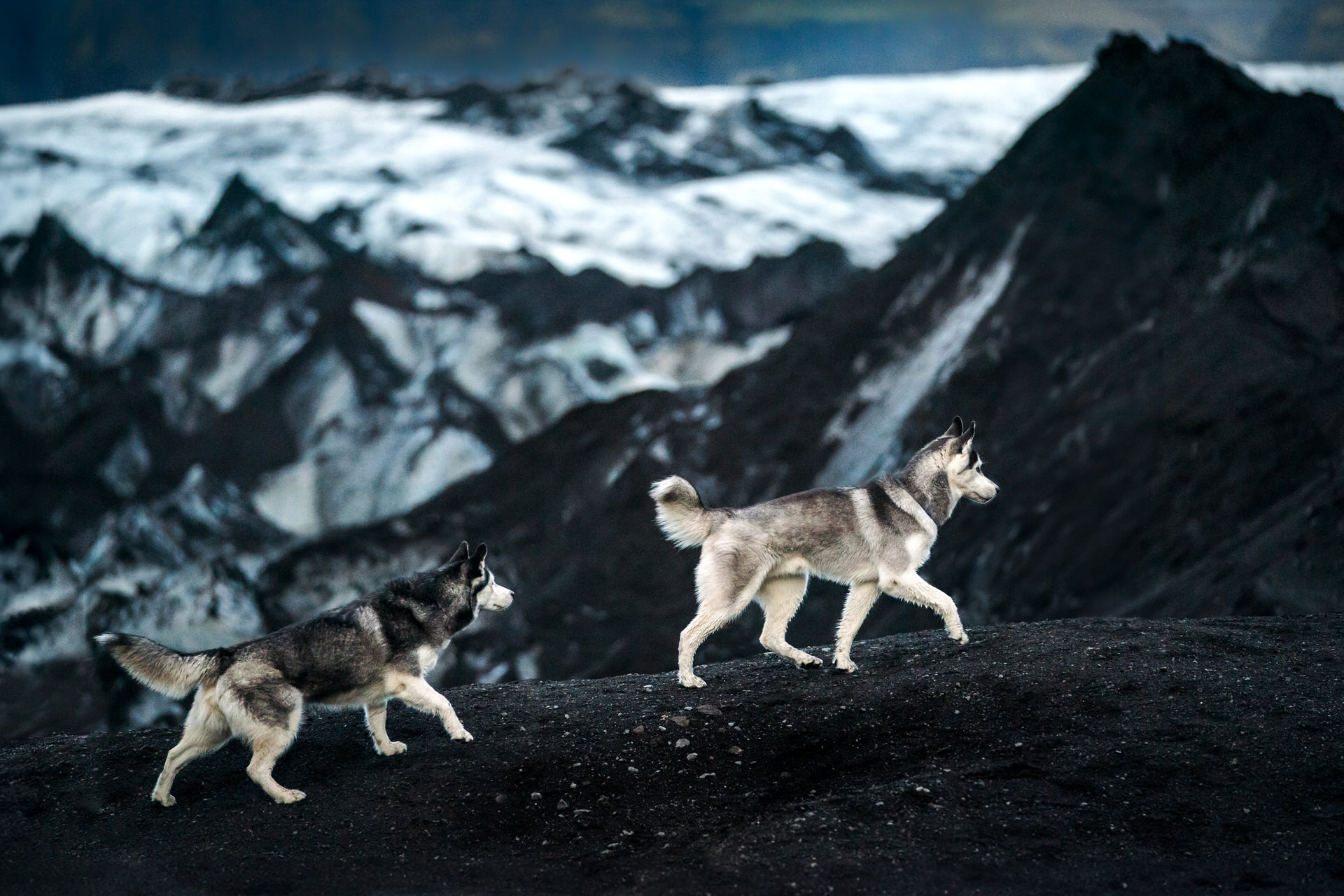 Two huskies trekking across snowy mountain terrain at Sólheimajökull Glacier