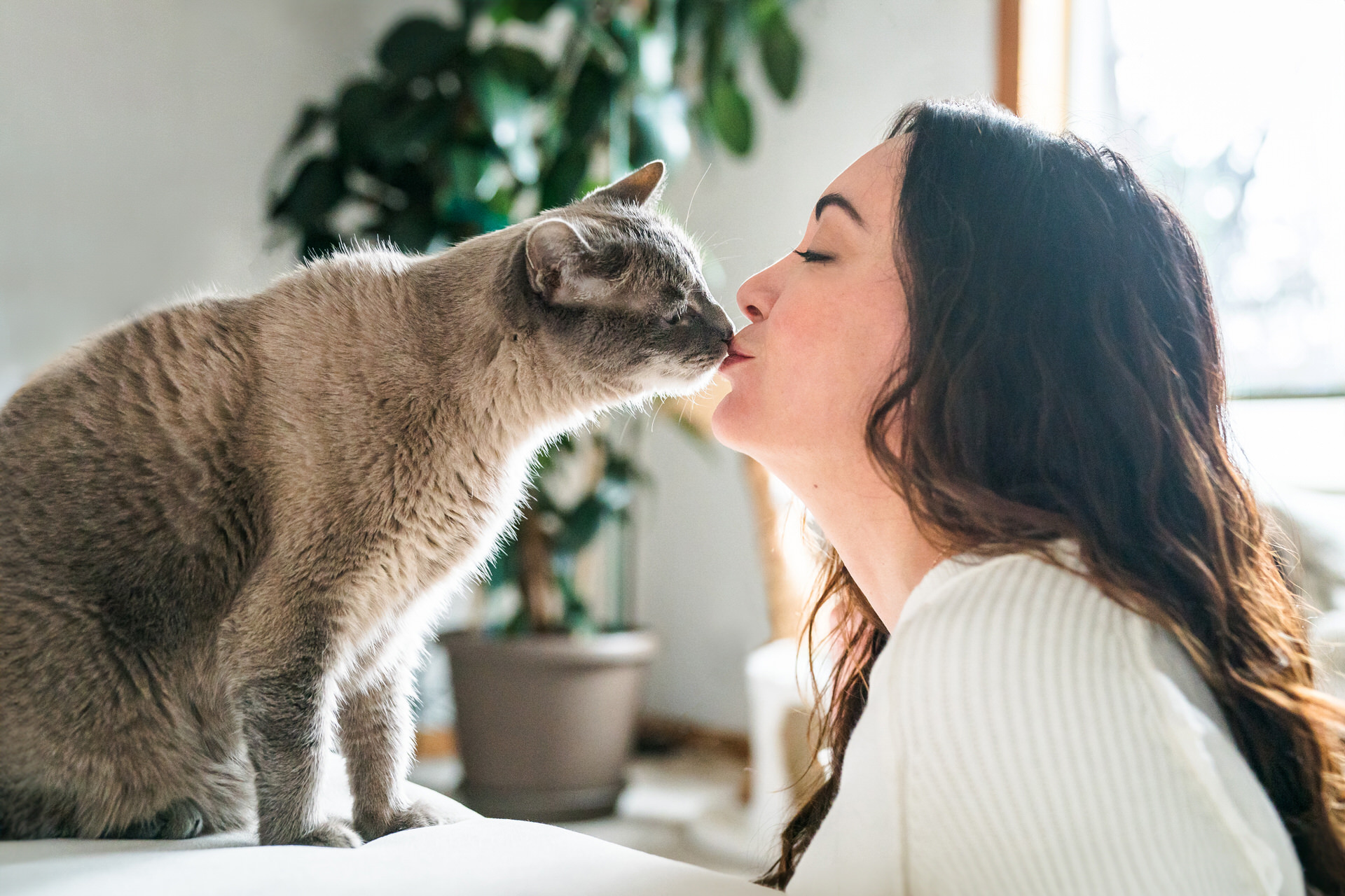 Woman kissing gray cat on nose.